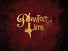 Phantom Limb - Vinyl Record - D2508z