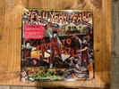 Yeah Yeah Yeahs Fever To Tell Picture Disc LP Album Vinyl Record  - Rare