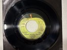 Radha Krishna Temple Govinda Apple Promo 45 NM