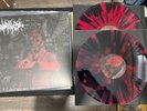 Dead Will Rise - 