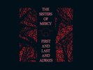 The Sisters of Mercy First and Last and Always (Vinyl)