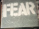 Fear The Record LP Color Vinyl 2021 Record Store Day Classic Punk Album