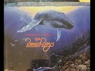 The Beach Boys – Summer in Paradise Coloured Vinyl Import 2025 2LP New & Sealed