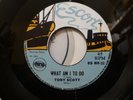 **Repro/Lookalike**Tony Scott What Am I To Do 7” Vinyl Escort Records Reggae