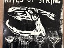 Rites of Spring LP  1985 /DC Hardcore