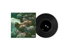 LANA DEL REY - Flipside/Is This Happiness 7