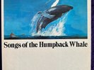 Songs of The Humpback Whale LP '70 CRM SWB II ROGER S. PAYNE Gatefold TESTED NM