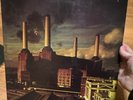 Pink Floyd Animals 12