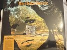 Bobbie Gentry : The Delta Sweete VINYL Expanded  12