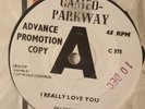 Dee Dee sharp i really love you uk original demo 45 record