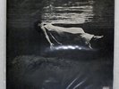 BILL EVANS, JIM HALL UNDERCURRENT UNITED ARTISTS GXC3128 Japan VINYL LP