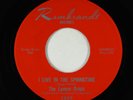 Garage 45 - Lemon Drops - I Live In The Springtime - Rembrandt - rare 1st  VG+