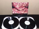 Raphael Saadiq - Instant Vintage 2002 US 2LP Universal Records VINYL MINT
