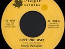 SNAP PRESCOTT Ain't No Way 45 Maple Rare 1971 New Jersey Northern Sweet Soul