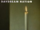 Sonic Youth Daydream Nation (Vinyl) 12