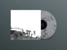 HOT DREAMS (COLOURED VINYL) by Timber Timbre [VINYL]