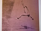 The Duckworth Lewis Method : Sticky Wickets Vinyl LP NEW/OPENED
