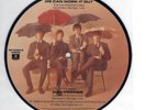 The Beatles-Day Tripper (VG+) Picture Disc