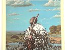 FREDDIE KING   TEXAS CANNONBAll   Orig. LP/Vinyl 1972 Shelter Records EX+