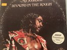 Syl Johnson Diamond In The Rough Vinyl SHL 32085 LP R&B Soul READ VG TESTED*