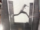The Ecstatic by Mos Def (Record, 2017) Sealed Vinyl 2LP