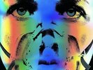 Underoath - They're Only Chasing Safety [New Vinyl LP] Colored Vinyl, White