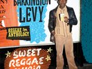 Barrington Levy Sweet Reggae Music 2.0: 1979-84 (Vinyl LP) 12