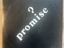 Promise Eponymous 1st Press 1980 LP Vinyl Cumulus Records C180SG VG+/VG+