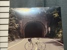 The Backseat Lovers - When We Were Friends - Galaxy Colored Vinyl LP IN HAND