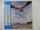 Masayoshi Takanaka Seychelles Kitty Records MKF 1003 Japan  VINYL LP OBI