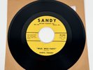 Darryl Vincent Wild Wild Party 7” Single Vinyl Record 45rpm Because I Love You