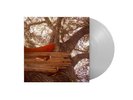 The Backseat Lovers Waiting to Spill (Vinyl)