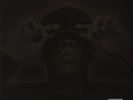 JAY Z THE BLACK ALBUM