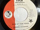 ARAGON EXCHANGE   BOAT MASTER / RAISE UP VOICES  Rare MIAMI FUNK PSYCH BREAKS 45
