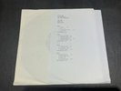 Roger Waters - Here In The Flesh Vol.2 - Test Pressing - Vinyl - DLP