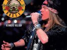 Guns N' Roses 