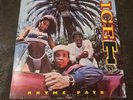 ICE-T Original Rhyme Pays Vinyl LP Record OG USA Press 1987 w/ Inner Sleeve