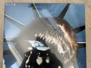 ASAP ROCKY x Bilt Exclusive Don't Be Dumb 2LP Vinyl - Free Shipping (SEALED)