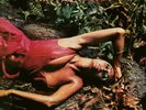 Roxy Music Stranded (Half Speed Master) (Vinyl) 12