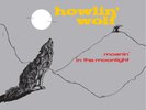 Howlin' Wolf Moanin' in the Moonlight (Vinyl) (UK IMPORT)