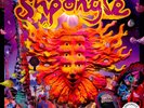 Shpongle - Museum Of Consciousness (Vinyl 2LP - 2013 - UK - Reissue)