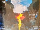 Bonobo - Migration (Vinyl 2LP - 2017 - EU - Original)