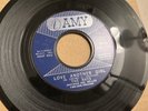 ORIGINAL SOUL 45 The Rays – Love Another Girl - AMY   Northern Soul 45 RPM VG+