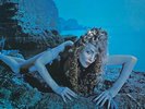 SEALED  Vtg ORIGINAL 1975 ROXY MUSIC Album SIREN Record 1ST PRESSING Lp VINYL