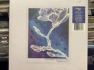 2021 JASON ISBELL AND THE 400 UNIT Georgia Blue RSD Black Friday 12