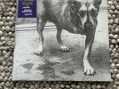 Alice in Chains Purple & Yellow Swirl Self-Titled D2C 30th Anniversary Vinyl LP