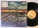 ASANTE Serengeti Voices | Private | Florida | Afro Funk | Disco | Bomb  LP HEAR