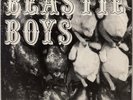 RARE Beastie Boys Polly Wog Stew 7
