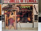 The Cramps. Smell of female LP Vinyl Record Big Beat 1983 EX/EX