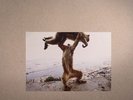 SHELLAC - Dude Incredible - Vinyl (180 gram vinyl LP + CD)
